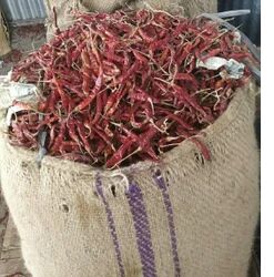 Teja red chilli, Packaging Size : 40kg