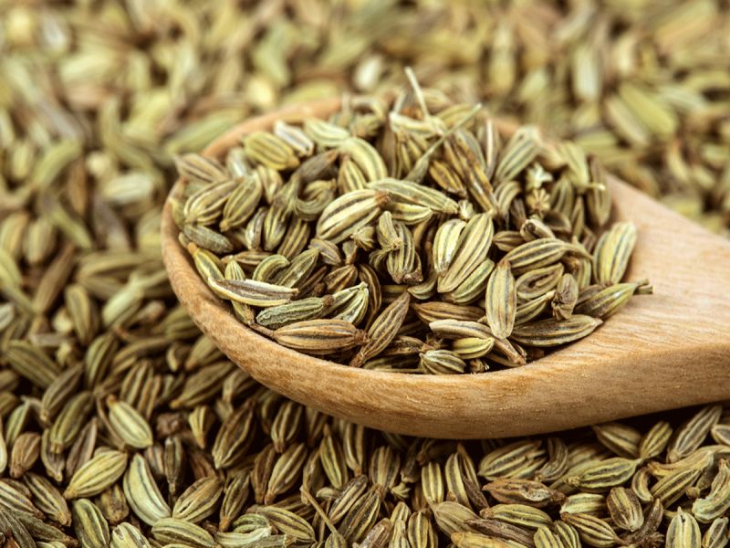 Raw Natural Fennel Seed, for Cooking, Spices, Grade Standard : Food Grade