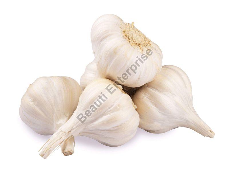 White Organic Fresh Garlic, Packaging Type : Plastic Bags