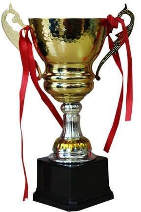 Trophy Cup, Color : Golden (Gold Plated)