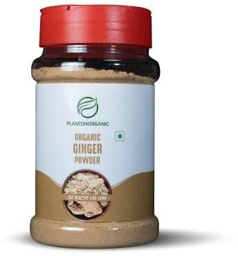 Organic Ginger powder, Packaging Size : 100g