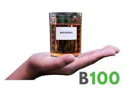 Yellow Biodiesel B100
