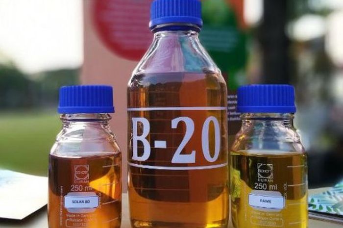 BIODIESEL B20