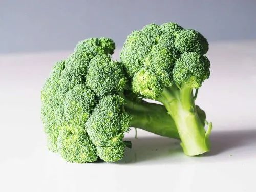 Fresh broccoli for Cooking