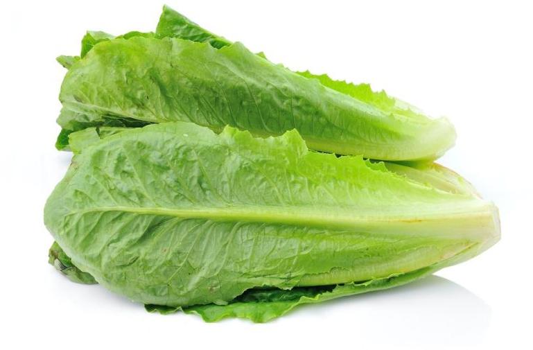 fresh lettuce