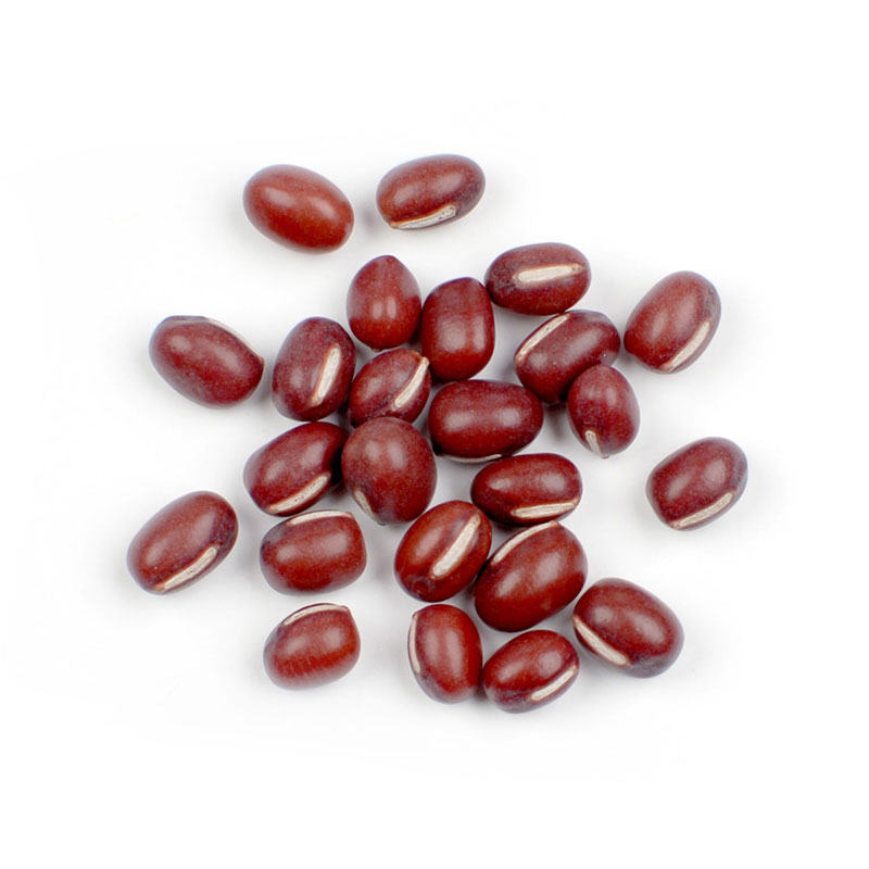 Red Azuki beans, for Snacks, Restaurant, Home, Cooking, Shelf Life : 18 Months, 12 Months