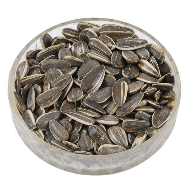Black sunflower seeds, for Agriculture, Packaging Type : Bag