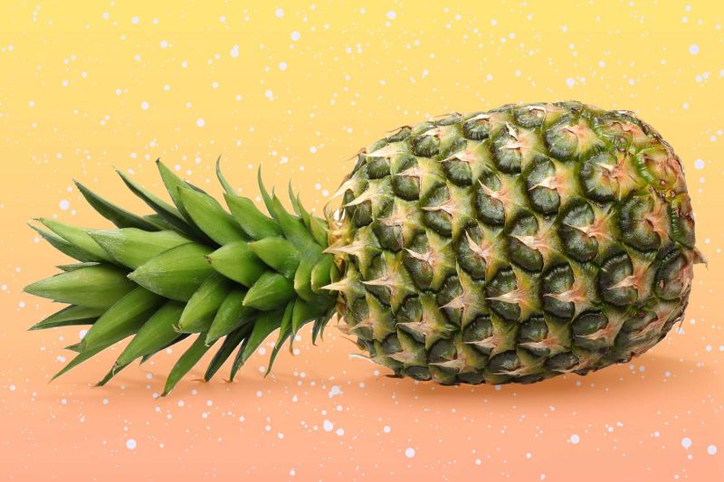 Green Solid fresh pineapple, for Food, Variety : Golden