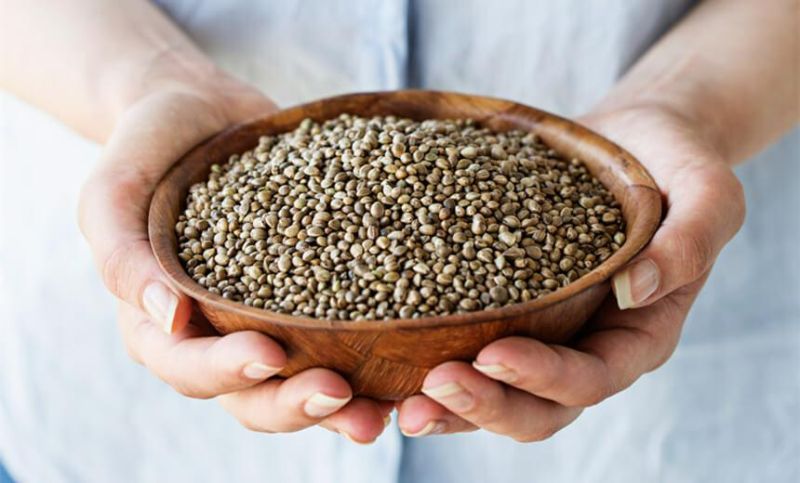 Hemp Seeds, for Food, Oil Extraction, Spice