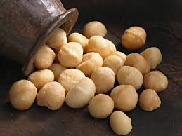 Macadamia nuts for Oil, Herbal Formulation, Cooking, Ayurvedic Formulation