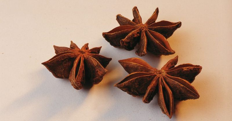 Brown Solid Whole Star Anise, Style : Dry, Packaging Type : Bag, Box, Carton