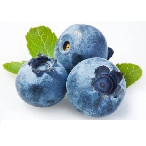 Organic Fresh Blueberry, Shelf Life : 10-15days