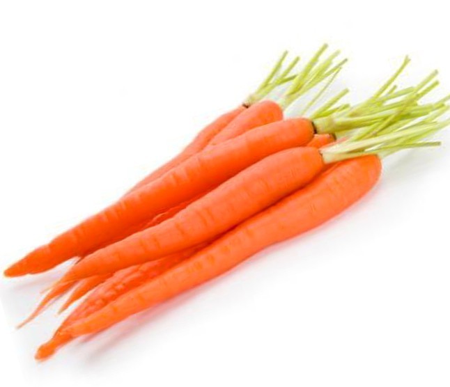 Fresh Carrot