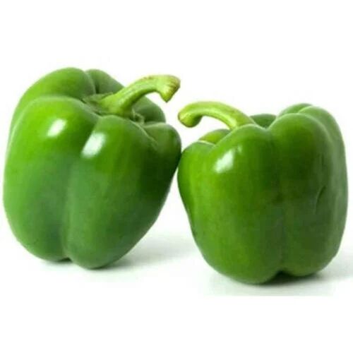 Fresh Green Capsicum, for Cooking, Packaging Type : Gunny Bag