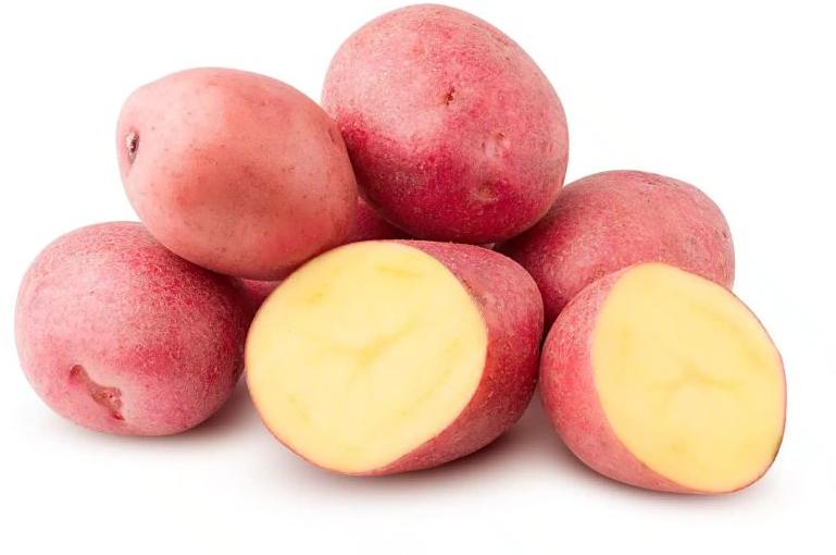 Organic Red Potato