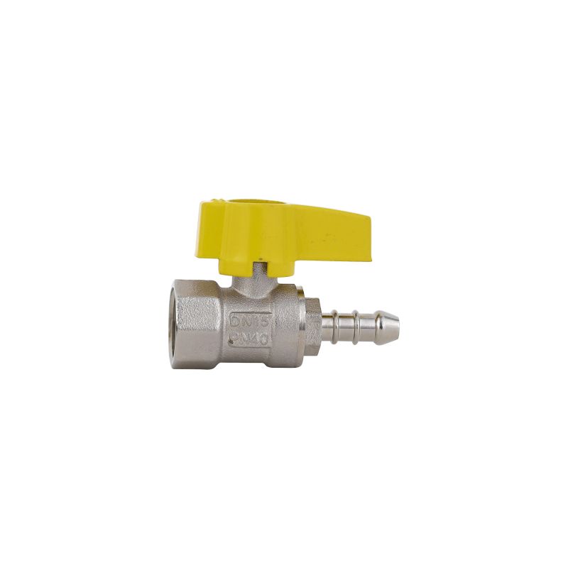 Gas Appliance Valve