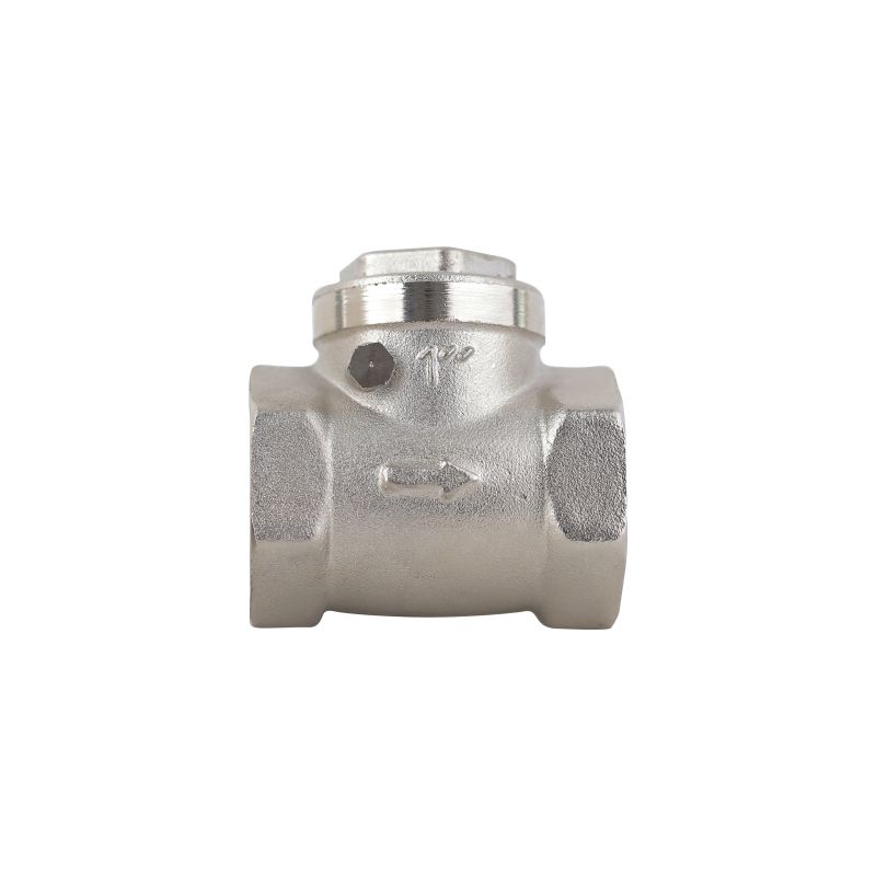 Brass Horizontal Check Valve 1"