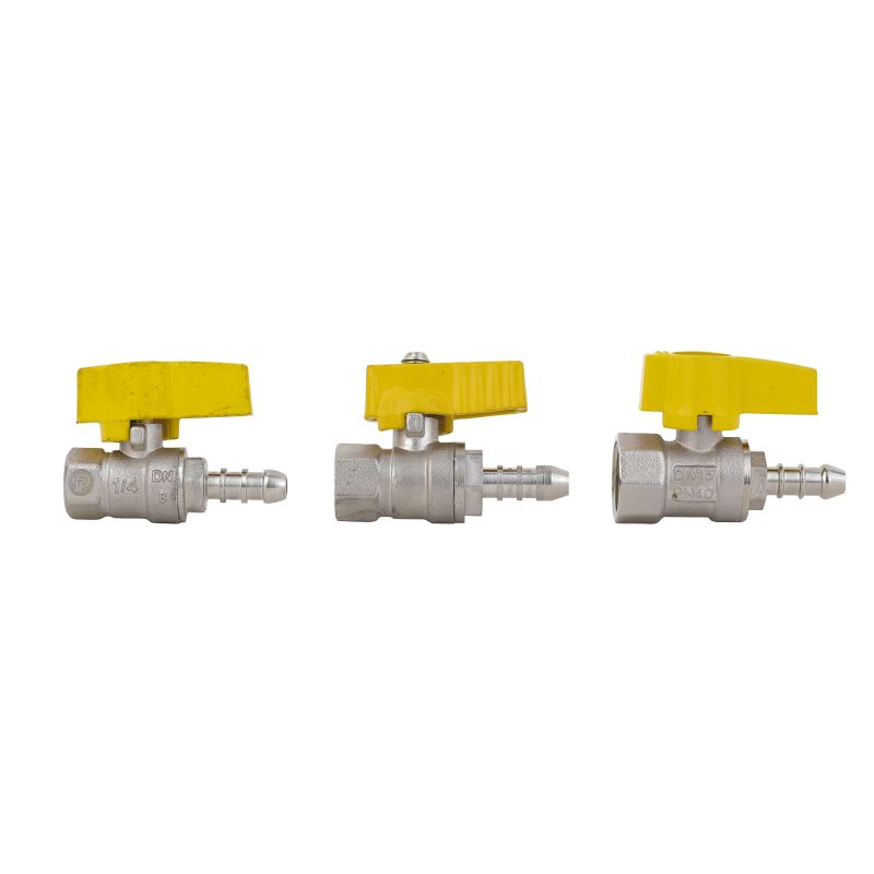 Gas Appliance Valve