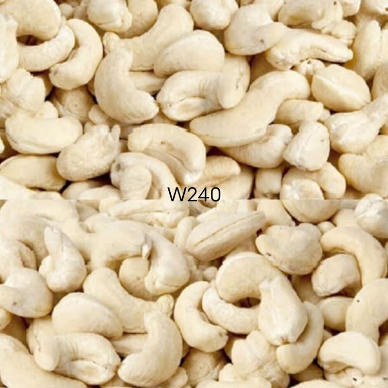 Ammi India Modern engineering plant Cashew nut W240, Packaging Size : 10 kg