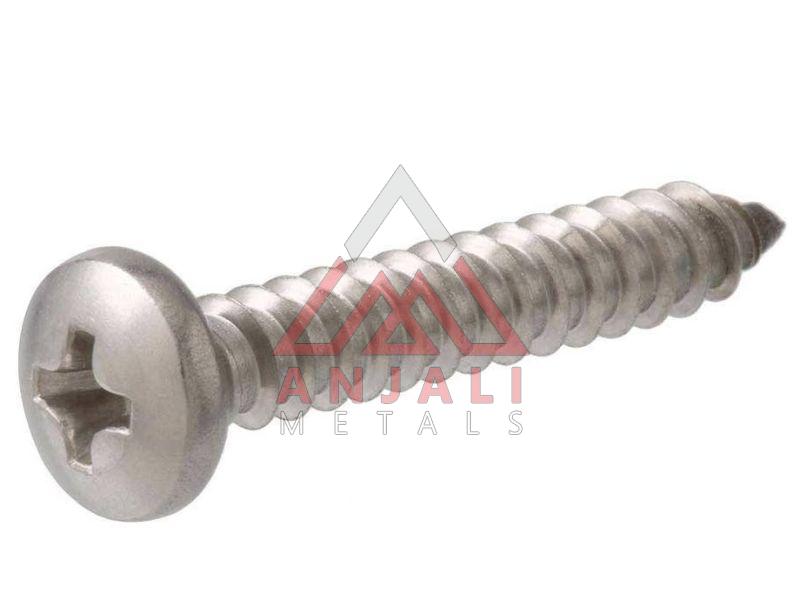 Silver Round SS Pan Phillips Screws, for Fittings Use, Feature : Rust Proof
