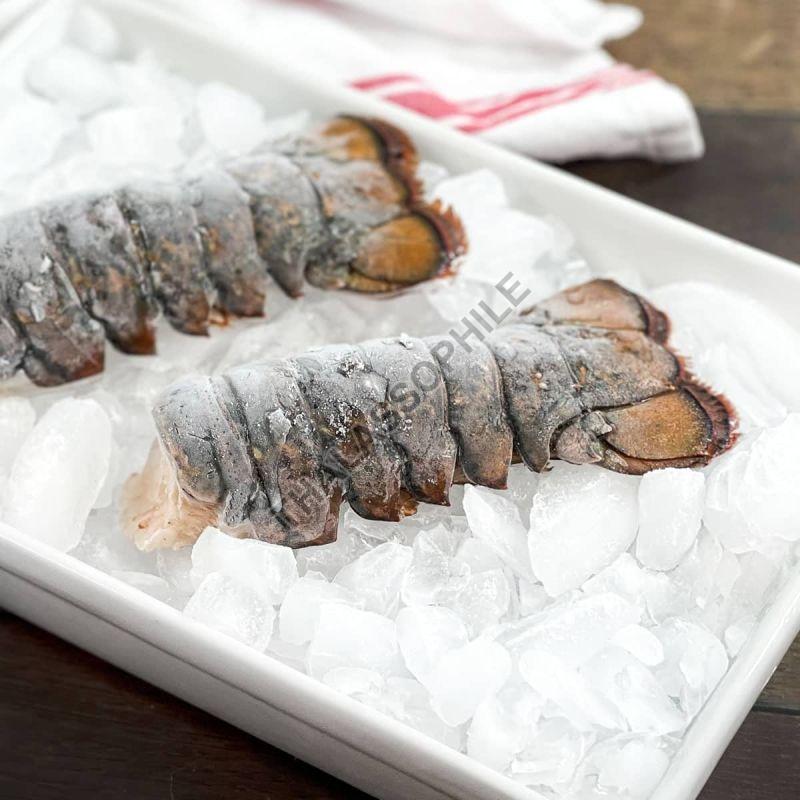 Grey Frozen Lobster, for Cooking, Style : Preserved