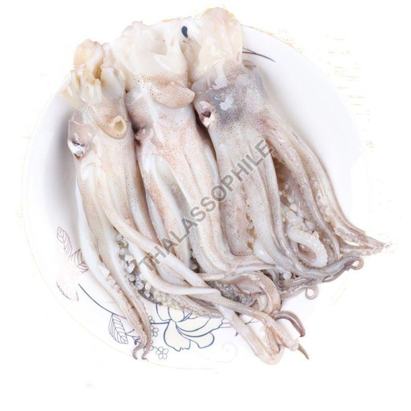Pink Frozen Octopus, for Cooking., Style : Preserved