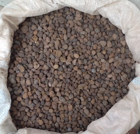 Dried Goat Dung