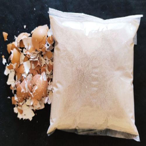 Organic Egg Shell Powder, Purity : 100%