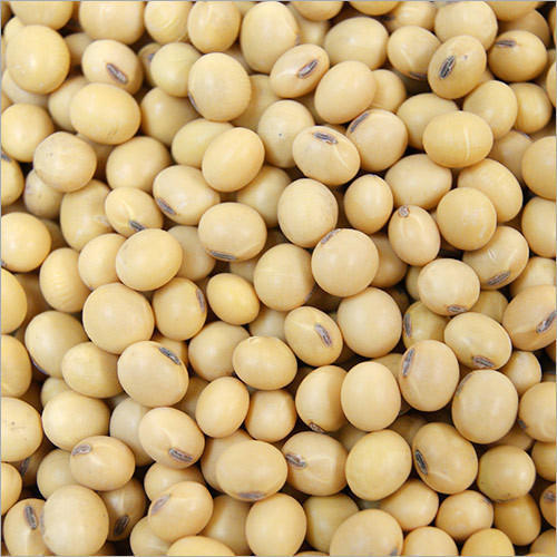 Natural Soybean Seeds