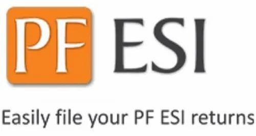 PF & ESI Return Filing Service