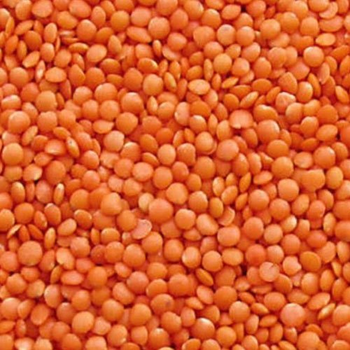 Indian Red Masoor Dal, for Cooking, Packaging Type : Bag