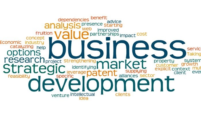 Business Development Training Services