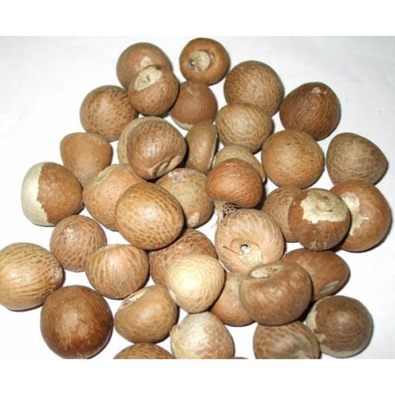 Natural areca nut, Packaging Type : Plastic Bag