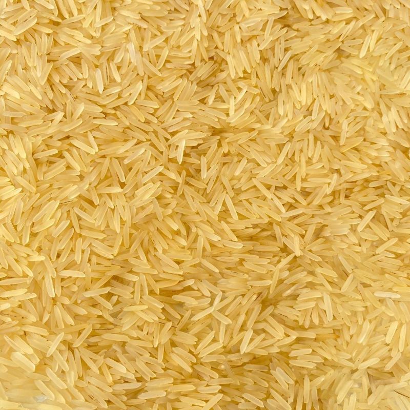 Unpolished Natural 1509 Golden Basmati Rice, for Food, Variety : Long Grain
