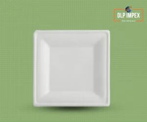 8 Inch Square Sugarcane Bagasse Plate