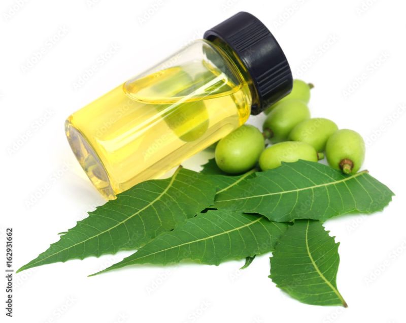 Liquid organic neem oil, for Agriculture, Feature : Purity