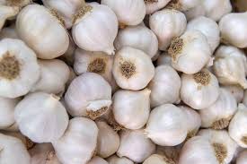 White Organic Fresh Garlic, For Hotel, Home, Packaging Type : Net Bags