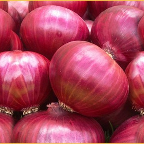 Red onion, for Human Consumption, Packaging Size : 20kg