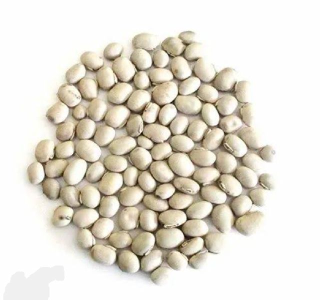 Organic konch seeds, Style : Dried