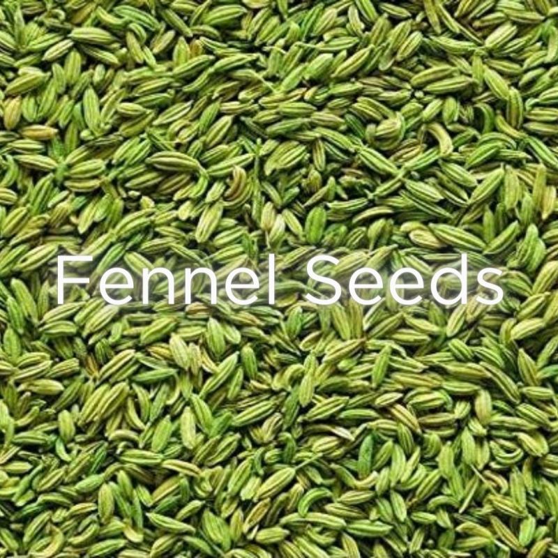 Organic Fennel Seeds, Packaging Type : Container At Rs 435 In Ahmedabad ...