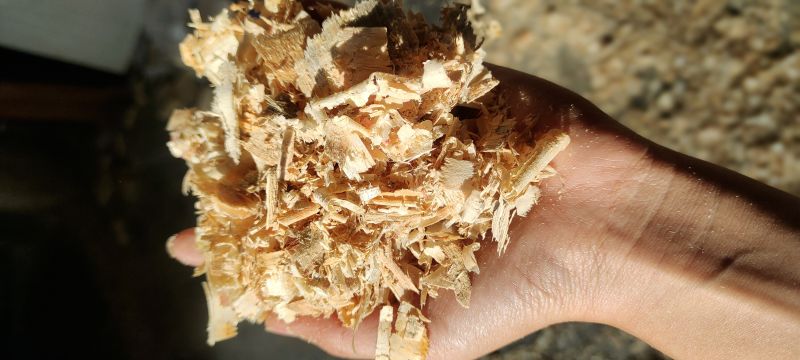 Pine Wood Shavings