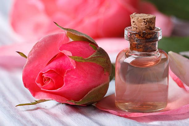 Rosa Damascena Rose Essential Oil