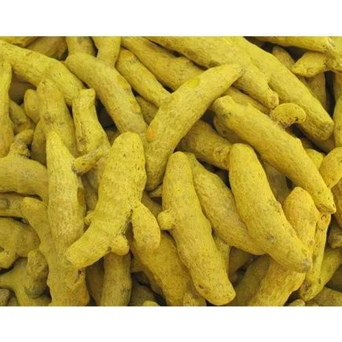 Yellow Curcuma Longa Turmeric Finger, for Cooking, Spices, Food Medicine, Packaging Size : 25 Kg