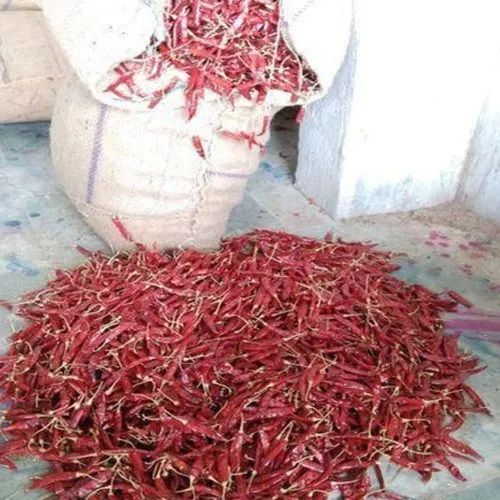 Natural Pure Dry Red Chilli, For Spices, Cooking, Shelf Life : 12 Month