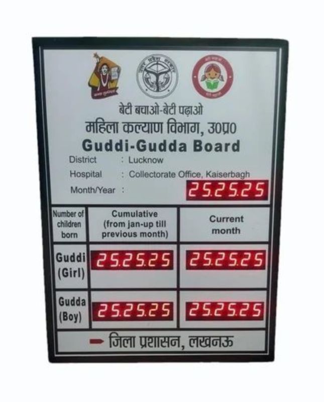 Electronic Gudda Guddi board