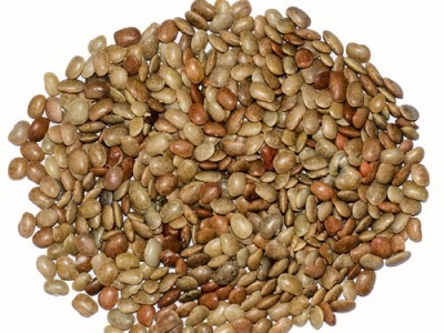 Natural horse gram, Grade Standard : Food Grade