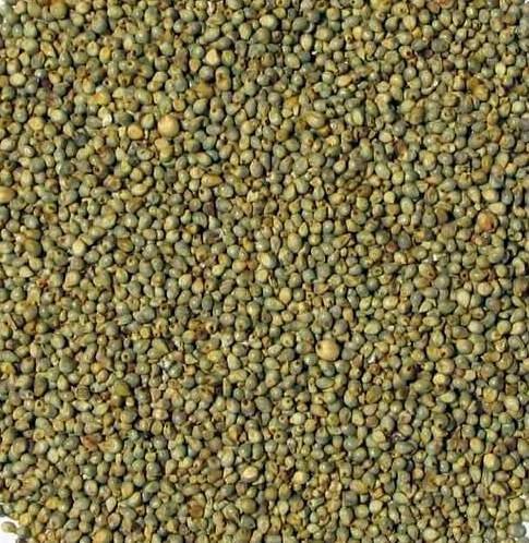 Fine Processed Natural Indian Green Millets, for Cattle Feed, Packaging Type : PP Bags
