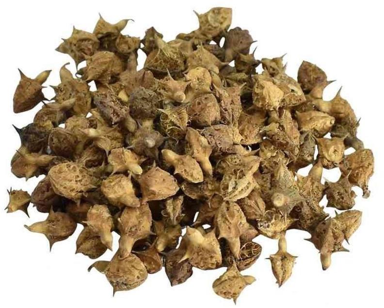Dried Gokhru Seeds, for Medicinal Purpose, Packaging Type : Poly Bag