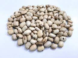 Brown Mucuna Pruriens Seeds, for Ayurvedic Medicine, Packaging Type : Plastic Packets