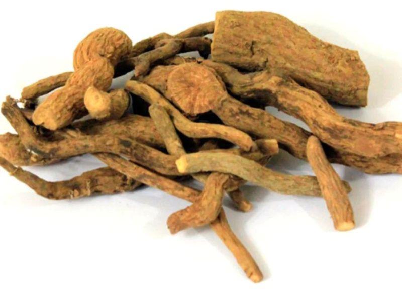 Natural Salacia Reticulata Roots, for Medicinal Purpose, Packaging Type : Plastic Bag